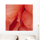Macro View Of Red Begonia Petals Wall Mural