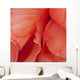Macro View Of Red Begonia Petals Wall Mural