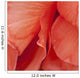 Macro View Of Red Begonia Petals Wall Mural