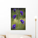 Monkshood Blooming In An Alpine Meadow In Glen Alps Wall Mural