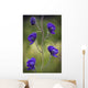 Monkshood Blooming In An Alpine Meadow In Glen Alps Wall Mural