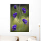 Monkshood Blooming In An Alpine Meadow In Glen Alps Wall Mural