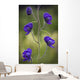 Monkshood Blooming In An Alpine Meadow In Glen Alps Wall Mural