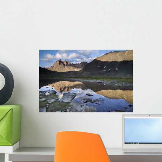 Clearwater Mountains Reflecting Wall Mural