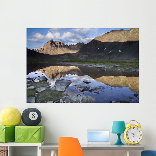 Clearwater Mountains Reflecting Wall Mural