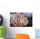 Close Up Of Shelf Fungus, Chugach State Park, Southcentral Alaska Wall Mural