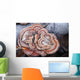 Close Up Of Shelf Fungus, Chugach State Park, Southcentral Alaska Wall Mural