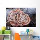 Close Up Of Shelf Fungus, Chugach State Park, Southcentral Alaska Wall Mural