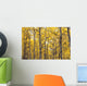 Autumn Scenic Of Colorful Yellow Aspen Trees Wall Mural
