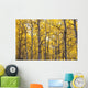 Autumn Scenic Of Colorful Yellow Aspen Trees Wall Mural