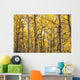Autumn Scenic Of Colorful Yellow Aspen Trees Wall Mural