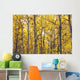 Autumn Scenic Of Colorful Yellow Aspen Trees Wall Mural