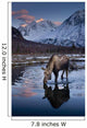 Scenic View At Sunset Of A Moose Drinking From A Pond With Alpenglow Wall Mural