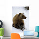 Grizzly Standing In Snow Denali Np In Alaska Autumn Wall Mural