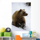 Grizzly Standing In Snow Denali Np In Alaska Autumn Wall Mural