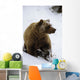 Grizzly Standing In Snow Denali Np In Alaska Autumn Wall Mural