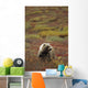 Grizzly On Autumn Tundra Highway Pass Denali Np Ak In Wall Mural