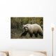 Grizzly On Autumn Tundra Highway Pass Denali Np Ak In Wall Mural