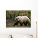 Grizzly On Autumn Tundra Highway Pass Denali Np Ak In Wall Mural