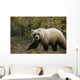 Grizzly On Autumn Tundra Highway Pass Denali Np Ak In Wall Mural