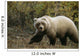 Grizzly On Autumn Tundra Highway Pass Denali Np Ak In Wall Mural