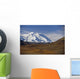 View Of Mt Mckinley & Ak Range Wall Mural