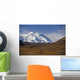 View Of Mt Mckinley & Ak Range Wall Mural