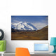 View Of Mt Mckinley & Ak Range Wall Mural