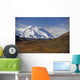 View Of Mt Mckinley & Ak Range Wall Mural