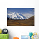 View Of Mt Mckinley & Ak Range Wall Mural