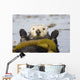 Sea Otters Rest Wrapped In Kelp Beds Pacific Ocean California Spring Wall Mural