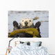 Sea Otters Rest Wrapped In Kelp Beds Pacific Ocean California Spring Wall Mural