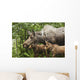 Two Newborn Moose Calves And Their Mother Keep Watchful Eyes Wall Mural