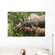 Two Newborn Moose Calves And Their Mother Keep Watchful Eyes Wall Mural