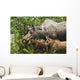 Two Newborn Moose Calves And Their Mother Keep Watchful Eyes Wall Mural