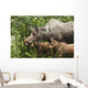 Two Newborn Moose Calves And Their Mother Keep Watchful Eyes Wall Mural
