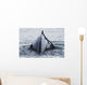 The Humped Back And Fin Of A Humpback Whale As It Dives To Feed Wall Mural