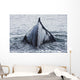 The Humped Back And Fin Of A Humpback Whale As It Dives To Feed Wall Mural