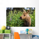 Young Moose Calf Standing Wall Mural