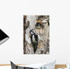 Juvenile Hairy Woodpecker Is Fed By The Adult Wall Mural