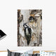 Juvenile Hairy Woodpecker Is Fed By The Adult Wall Mural