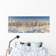 Panoramic View Of Snow-Covered Spruce Trees In Late Afternoon Sun Wall Mural