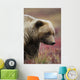 Close Up Portrait Of A Smiling Grizzly Bear In Denali National Park Wall Mural