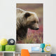 Close Up Portrait Of A Smiling Grizzly Bear In Denali National Park Wall Mural