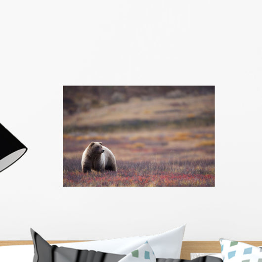 View Of A Grizzly Bear Standing In The Fall Tundra Wall Mural