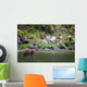 Brown Bear Wades Through A Stream Looking For Salmon Wall Mural
