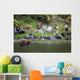 Brown Bear Wades Through A Stream Looking For Salmon Wall Mural