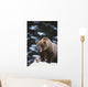 Brown Bear Standing In Snow And Yawning Wall Mural