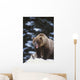 Brown Bear Standing In Snow And Yawning Wall Mural