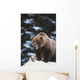 Brown Bear Standing In Snow And Yawning Wall Mural